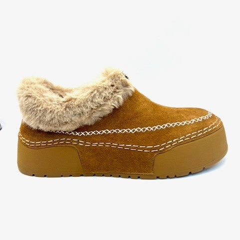 AYALLA BY ANTELOPE PORTIA MULE