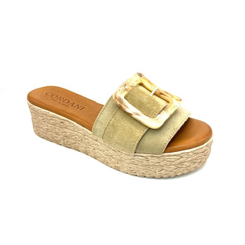 CORDANI BECKETT ARENA SUEDE SLIP ON