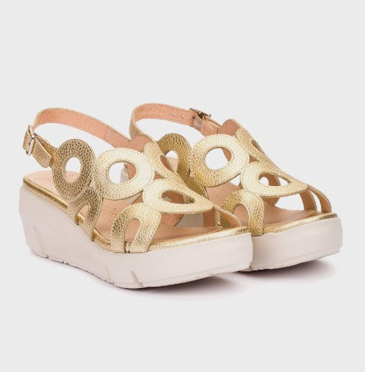 WONDERS D-8282 FLYNN 82 PLATINO MAX