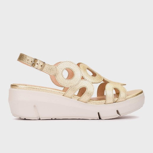 WONDERS D-8282 FLYNN 82 PLATINO MAX