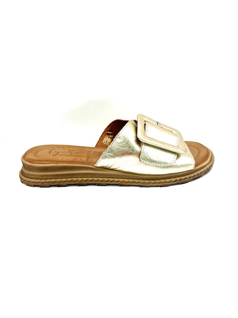 TYCHE MONROE GOLD SLIDE