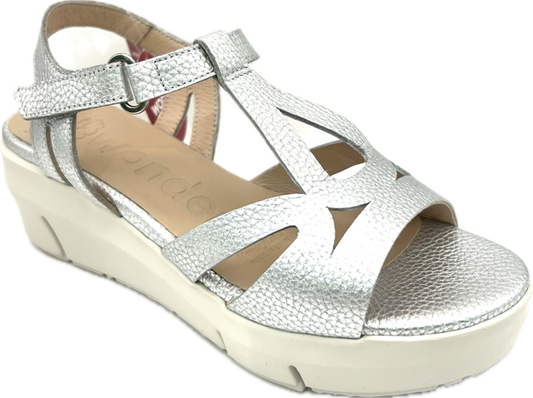 WONDERS D-8281 MAX PLATA