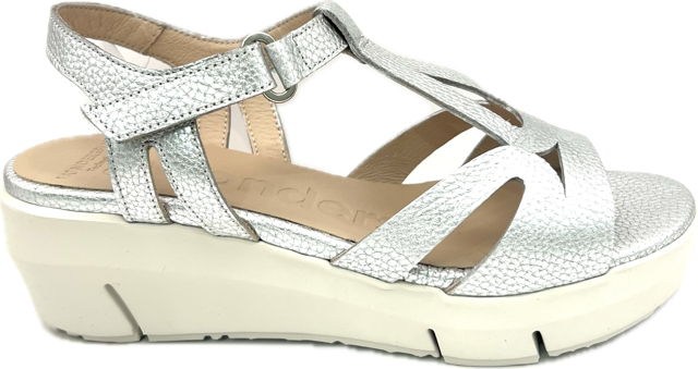 WONDERS D-8281 MAX PLATA