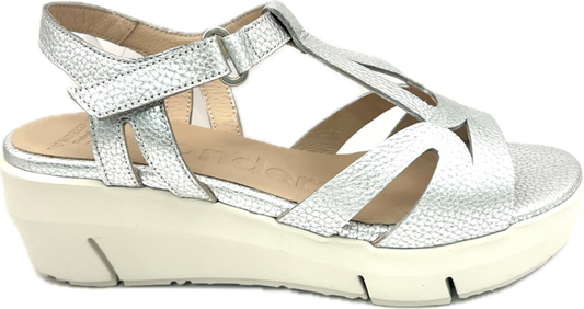 WONDERS D-8281 MAX PLATA